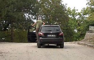 Araçlar sürücülerin müdahalesi olmadan yokuş...