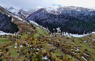 Artvin’de karlı zirveler sonbahar ile buluştu