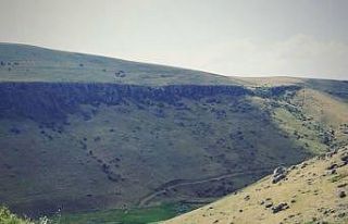 Aşağı Düzmeydan Vadisi hayvan otlatımına açıldı