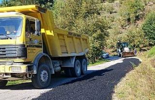 Asfalt serme çalışmaları sürüyor