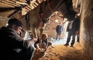 ’Atların diyarı’nda nalbantlık son demlerini...