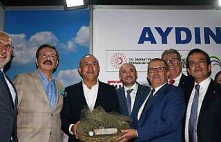 Avrupa Birliği Tescilli Aydın Memecik Zeytinyağı’na...