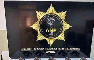 Aydın’da bir araçta 10 tabanca ele geçirildi