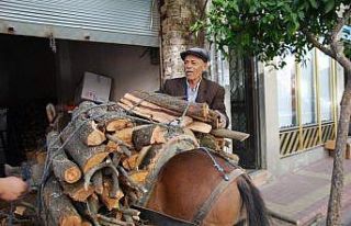 Aydın’da geleneksel kış hazırlıkları başladı