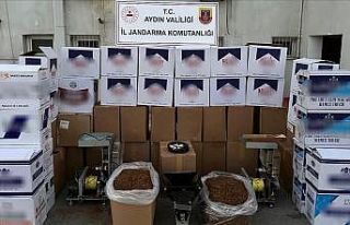 Aydın’da jandarma ekipleri 615 bin makaron ele...