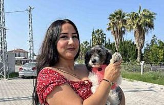 Aylardır sahibine ulaşılamayan Şila’nın yeni...