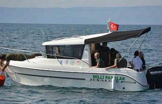 Ayvalık’ta denizin akciğerleri deniz çayırları...