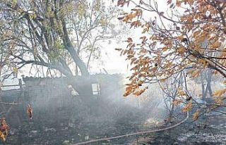 Bahçede çıkan yangın ağaçlık alana sıçramadan...