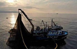 Balıkçıların zorlu mesaisi