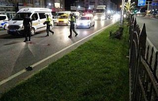 Bariyerden atlayıp karşıya geçerken aracın çarptığı...