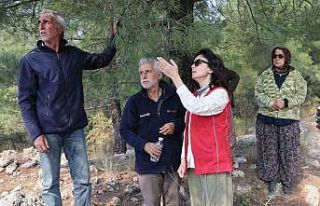 Başkan Köksal, “Ekiplerimiz söndürme çalışmalarına...