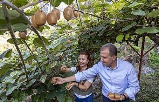 Başkan Seçer, ’Kivi Şenliği’ne katıldı