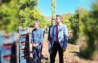 Başkan Tatık, Tavas’ta nar hasadı yapan üreticileri...