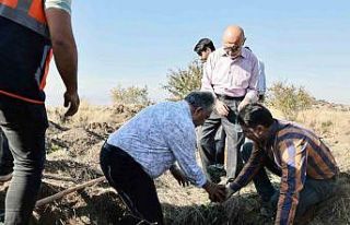 Başkan Yalçın: "Diktiğiniz fidanlar dünyaya...