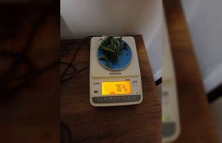 Bayburt’ta narkotik madde operasyonunda 1 kişi...