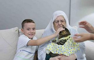 Bebek gibi giydirdiği kedisiyle 82 yaşında fenomen...