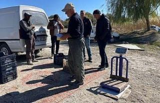 Beyşehir Gölünde balık boy denetimi