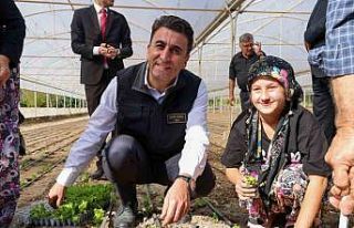 Bilecik’te 1 milyon 126 adet marul fidesi dağıtıldı