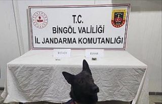 Bingöl’de jandarma ekipler suçlulara göz açtırmıyor