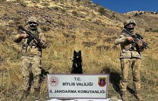 Bitlis’te terör operasyonu, çok sayıda mühimmat...