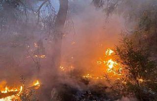 Burdur’da çıkan orman yangını kontrol altına...