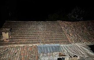 Bursa’da torun dehşeti: Para vermeyen dedesini...