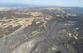 Çanakkale’de 2 yılda 277 orman yangınında 9...