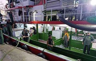 Çanakkale’de denetlenen 232 bin 700 kilogram hamsi...