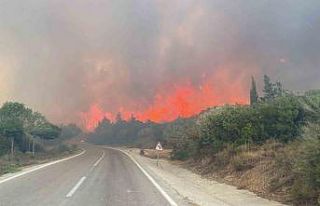 Çanakkale’de ormanlara giriş yasağı 30 Kasım’a...
