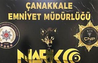 Çanakkale’de uyuşturucu operasyonu: 1 tutuklama