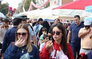 Ceviz Festivali, katılım rekoru Kırdı