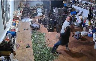 Çiçekçiyi tek yumrukta komalık edip ölümüne...