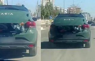 Çocuğu bagajda götüren sürücüye adli işlem...