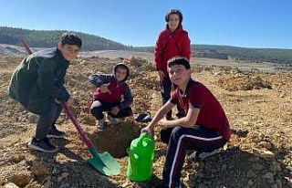 Daha yeşil bir Tavşanlı için fidan diktiler