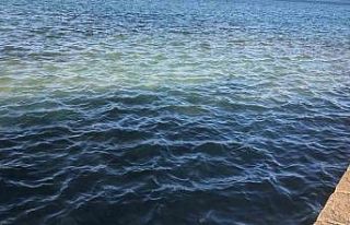 Datça’da atıksu borusu patladı, denizin rengi...