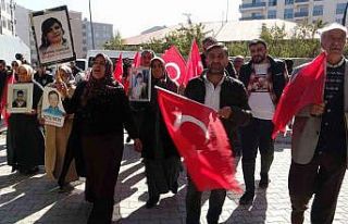 DEM, anneleri evlat nöbetinden vazgeçirmek için...