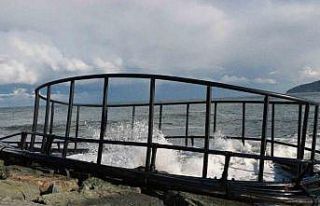 Denizde çıkan fırtına kafesleri karaya vurdu