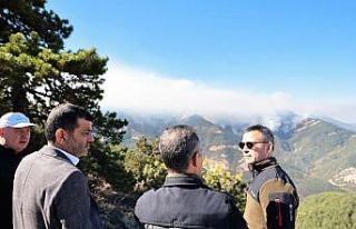 Denizli’deki orman yangını söndürüldü