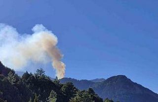 Denizli’deki orman yangınına 19. saattir müdahale...