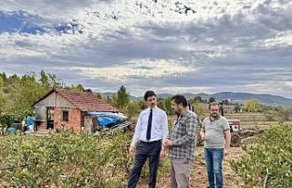 Dereköy ve Ahmetler köyünün yeni geçim kaynağı...