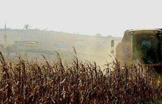 Desteklenen çiftçilerin yüzü gülüyor