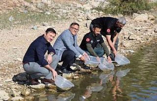 Dicle ilçesindeki Kralkızı Barajına 100 bin pullu...