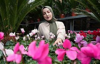 Ekim ayında en çok tercih edilen çiçekler kasımpatı...