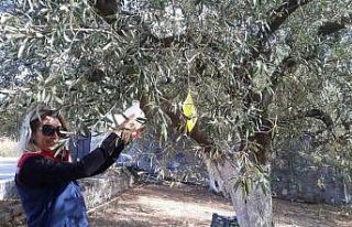 Ekipler sahaya indi, zararlı kontrolleri yapıldı