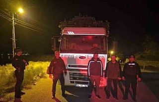 Elazığ’da orman suçlarıyla mücadelede sıkı...