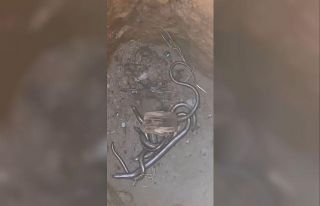 Elektrik direği için açılan kuyuya düşen kör...