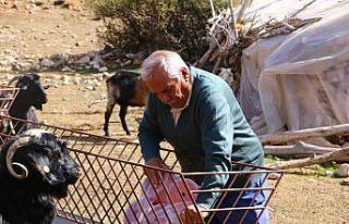 Elmalı’da Çoban Haritası Projesi tamamladı