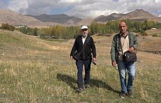 Erciş’te şifa kaynağı dağ sakızı zor şartlarda...