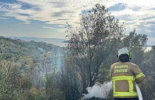 Erdek’te yangın: 10 dönümlük zeytinlik kül...
