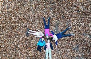 Erzincan’da ormanlık alanlarda renk cümbüşü...